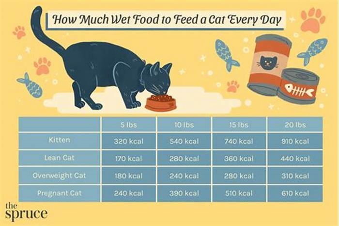 9 lives wet cat food feeding guide