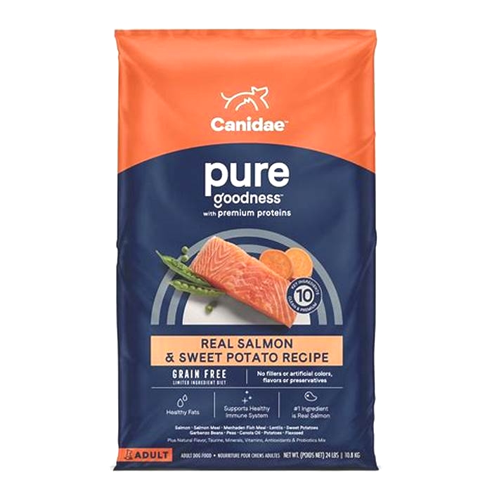 all salmon dog food