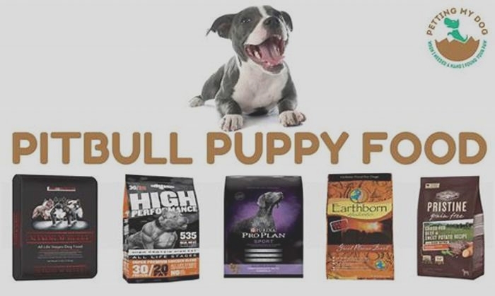 best dog food for a puppy pitbull