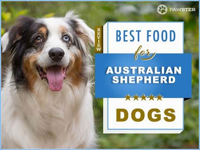 best dog food for aussie puppies