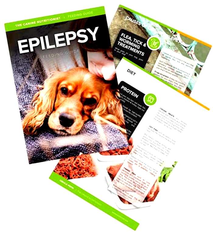 best dog food for canine epilepsy