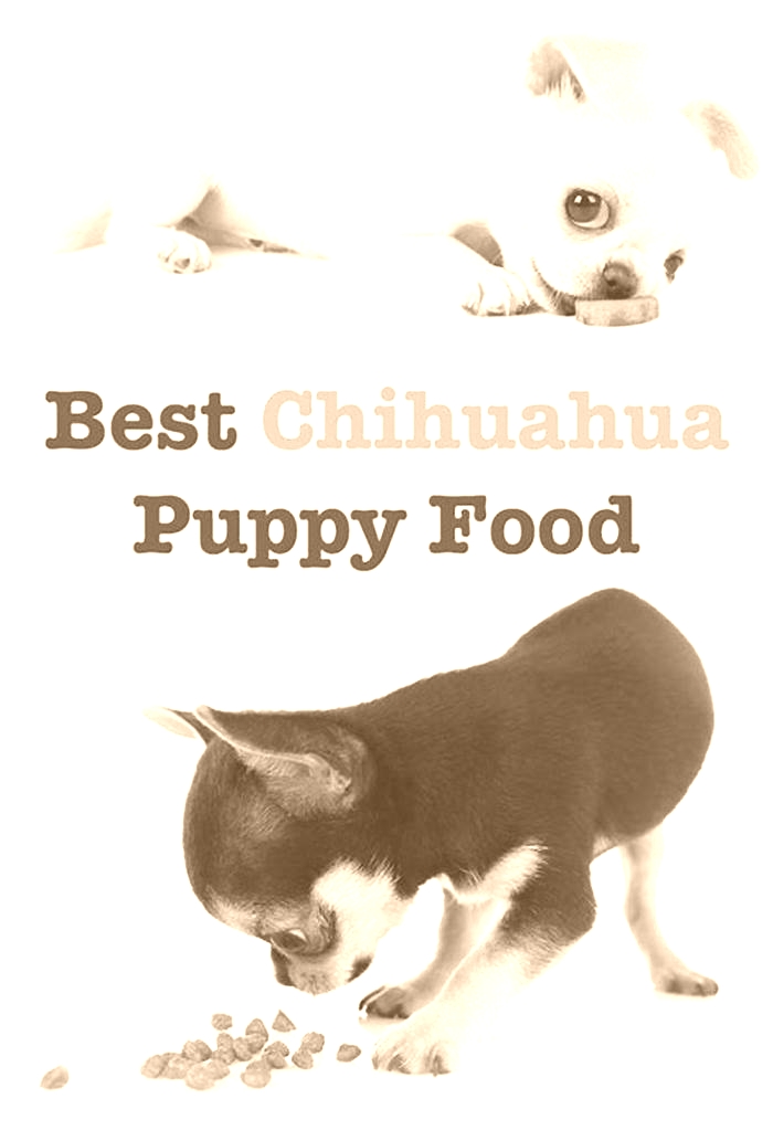 best dog food for chihuahua puppies