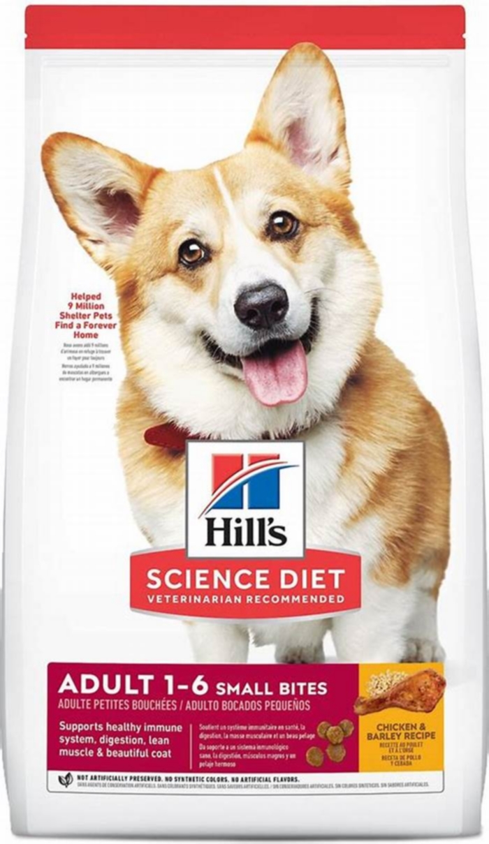 best dog food for corgi puppies