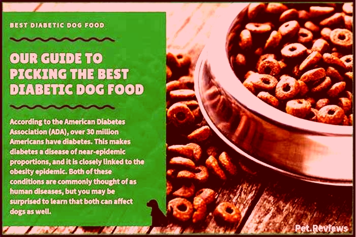 best dog food for diabetic dogs