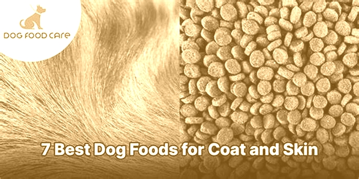 best dog food for dogs coat and skin