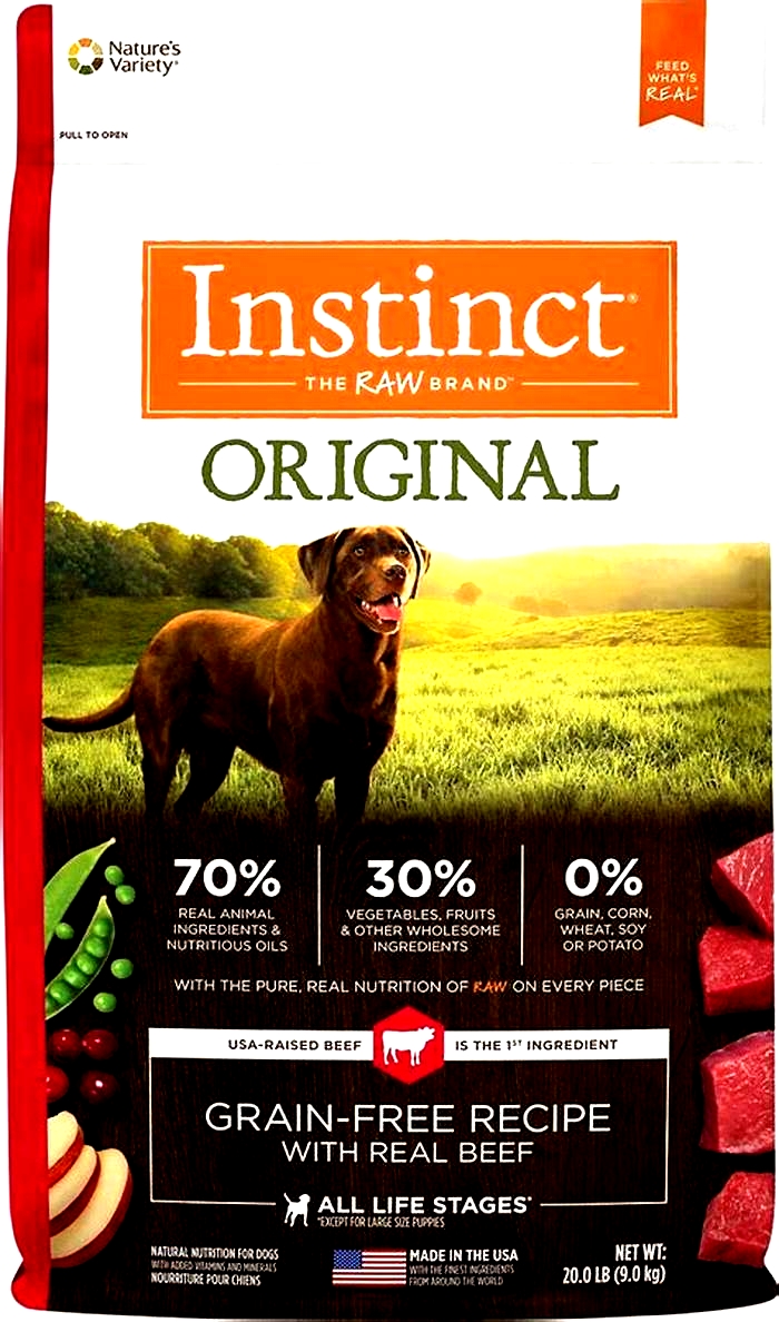 best dog food for dogs dry