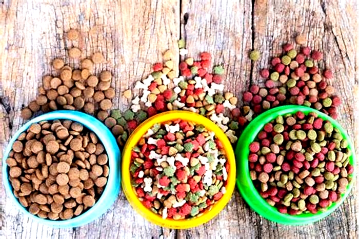 best dog food for dogs licking paws