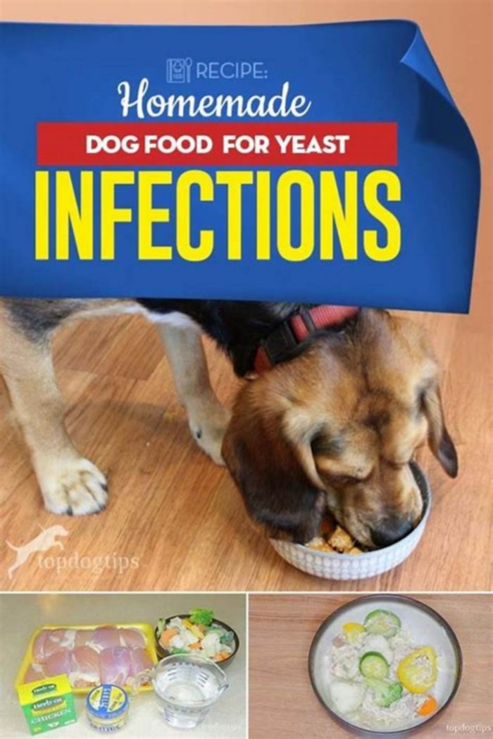 best dog food for dogs that get yeast infections