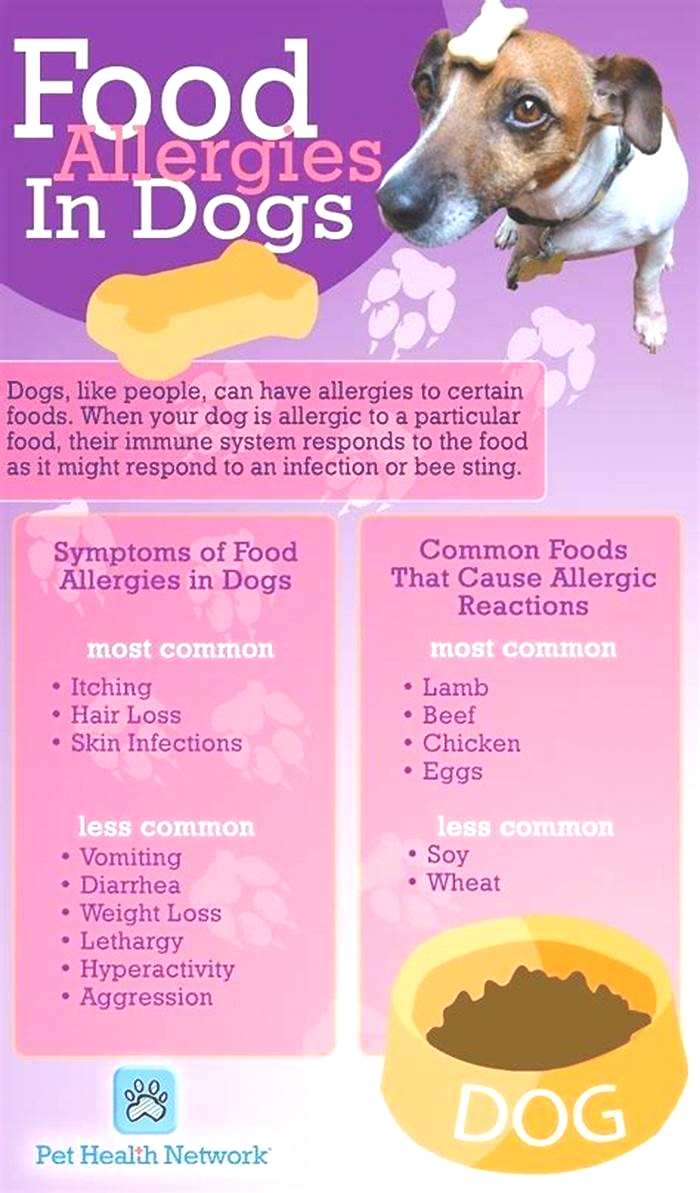 best dog food for dogs that have allergies