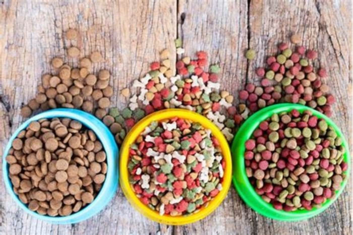 best dog food for dogs that lick their paws