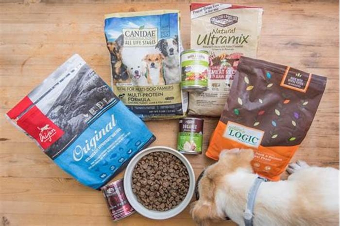 best dog food for dogs uk