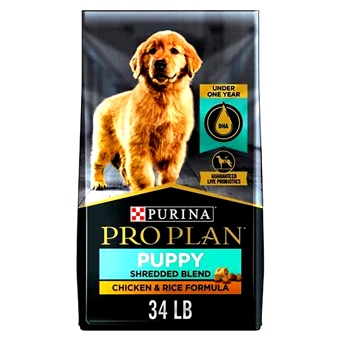 best dog food for dogs under 1 year old