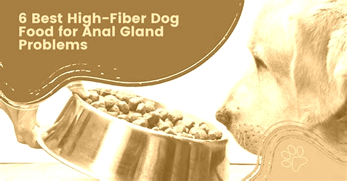 best dog food for dogs with anal gland issues