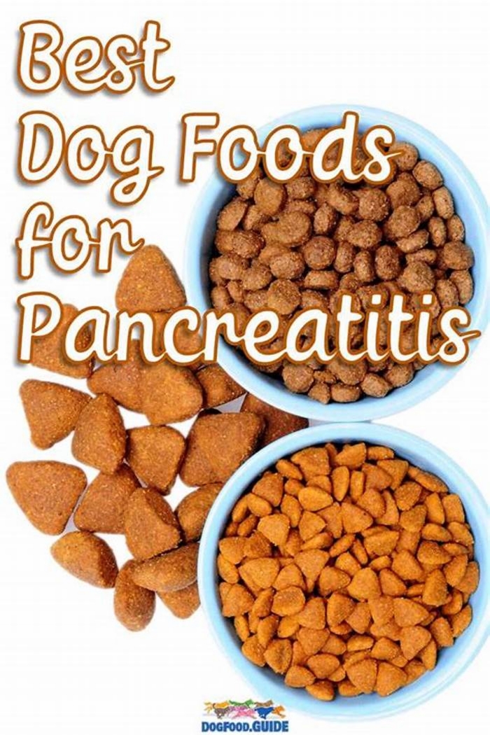 best dog food for dogs with pancreatitis