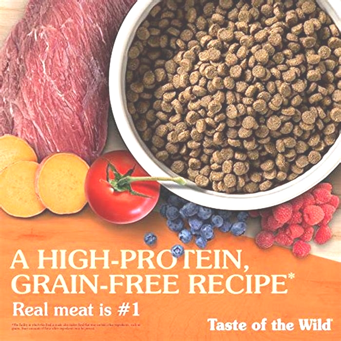 best dog food for epi dogs