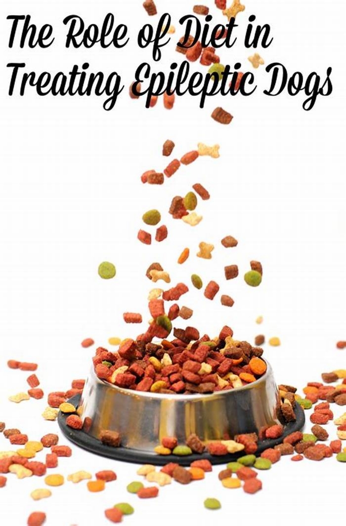 best dog food for epileptic dogs