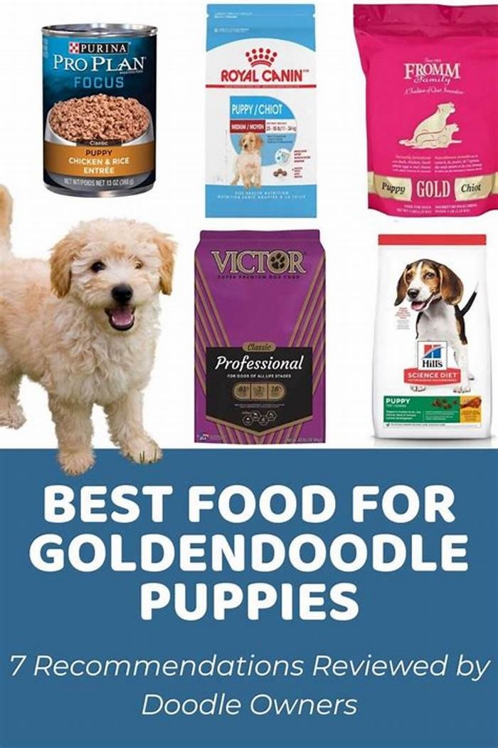 best dog food for goldendoodle puppies