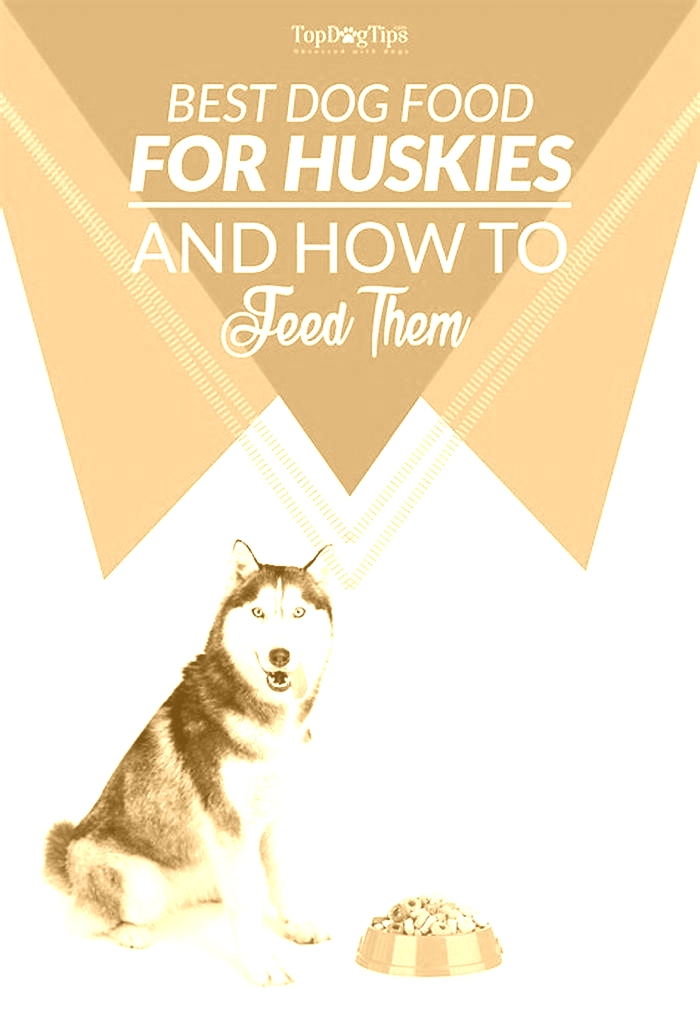 best dog food for husky puppy philippines