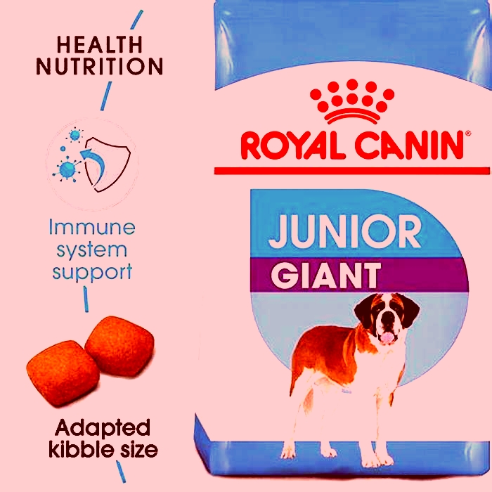 best dog food for junior dogs