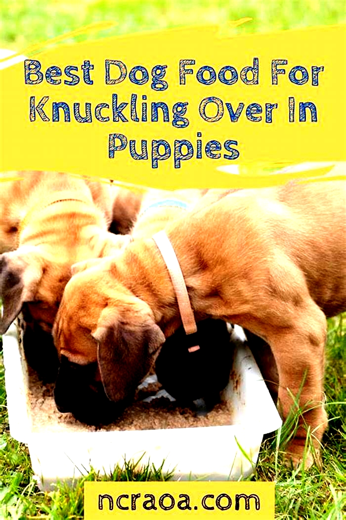 best dog food for knuckling over in puppies