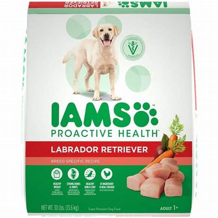 best dog food for lab puppies uk