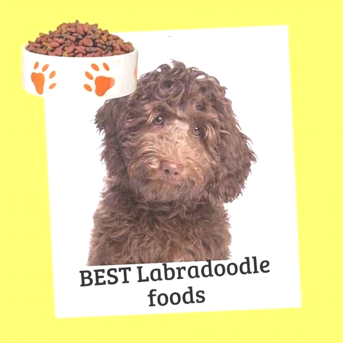 best dog food for labradoodle puppies