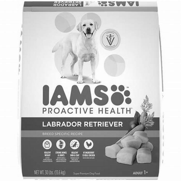 best dog food for labrador puppies uk