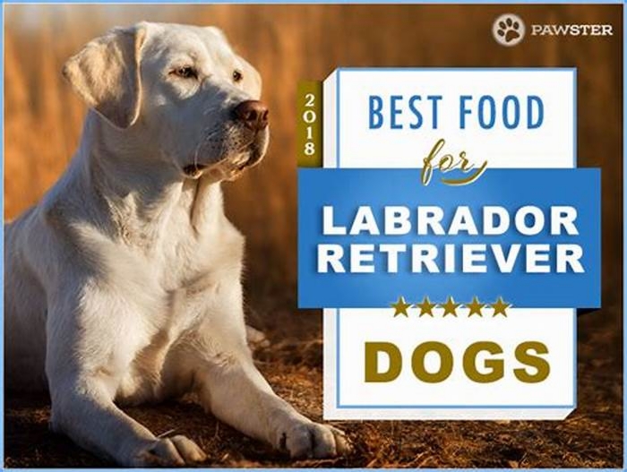 best dog food for labrador retriever puppies