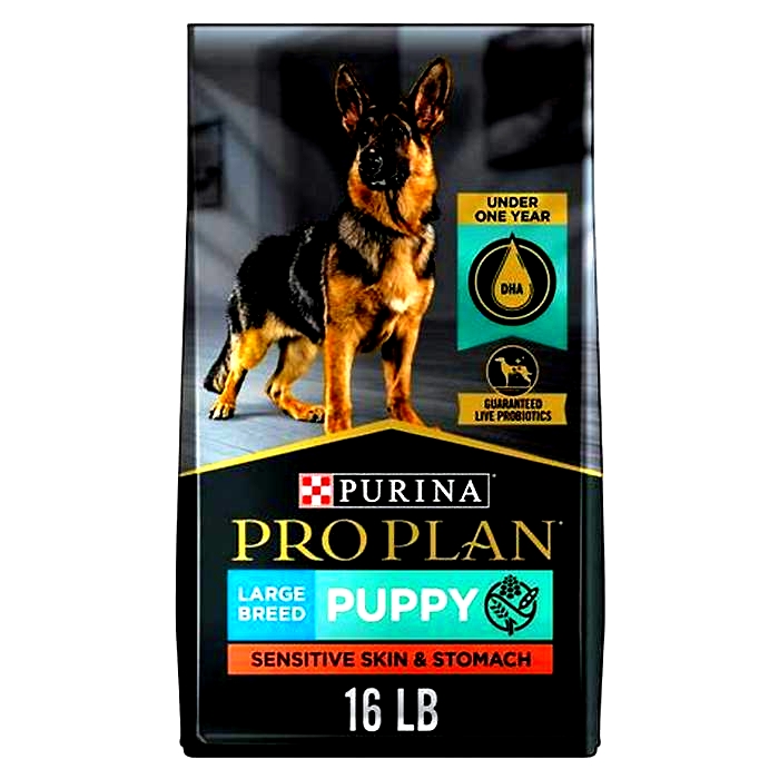 best dog food for large breed puppies with sensitive stomachs