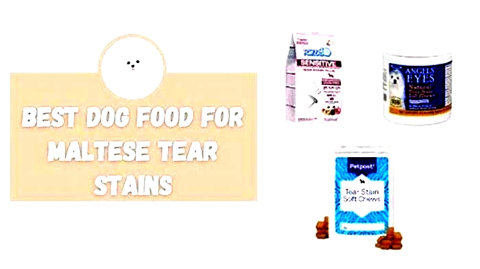 best dog food for maltese puppy tear stains