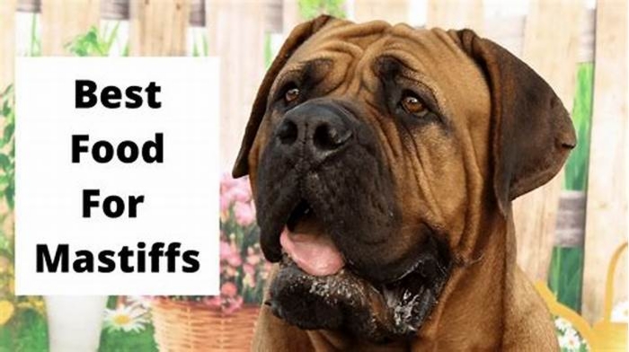 best dog food for mastiff puppies