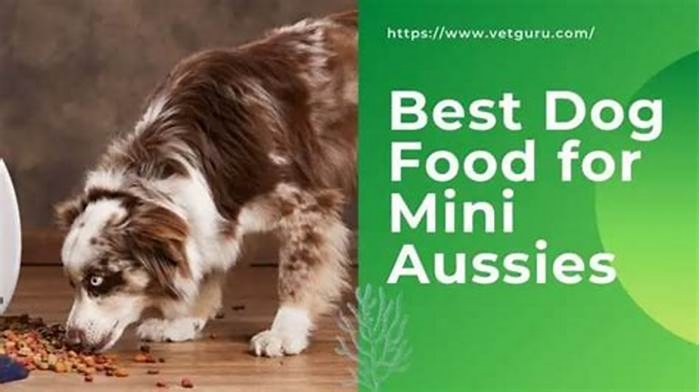 best dog food for mini aussie puppies