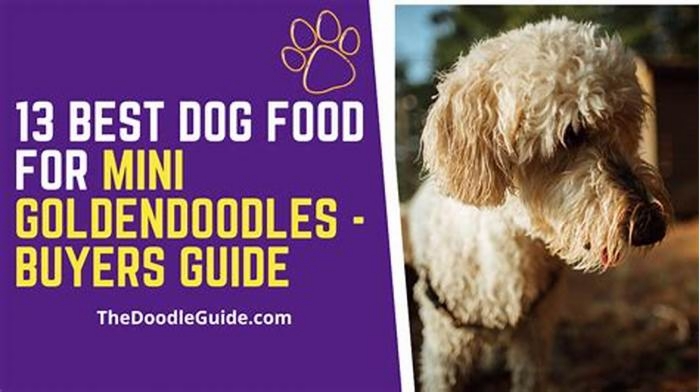 best dog food for mini goldendoodle puppies