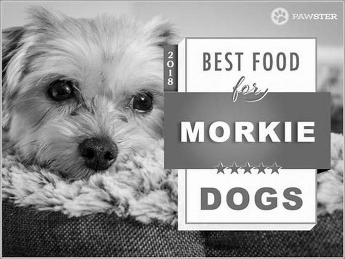 best dog food for morkie puppies