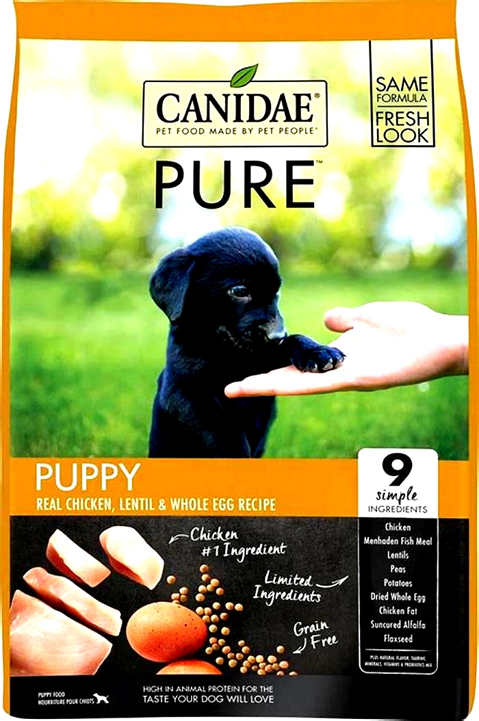 best dog food for new puppies