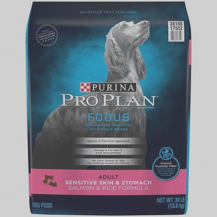 best dog food for older dogs with allergies