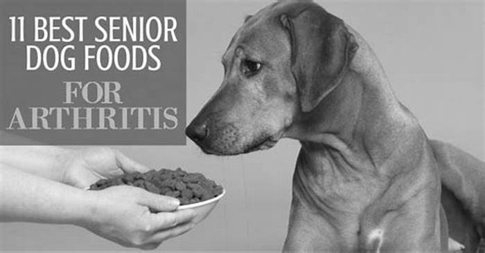 best dog food for older dogs with arthritis