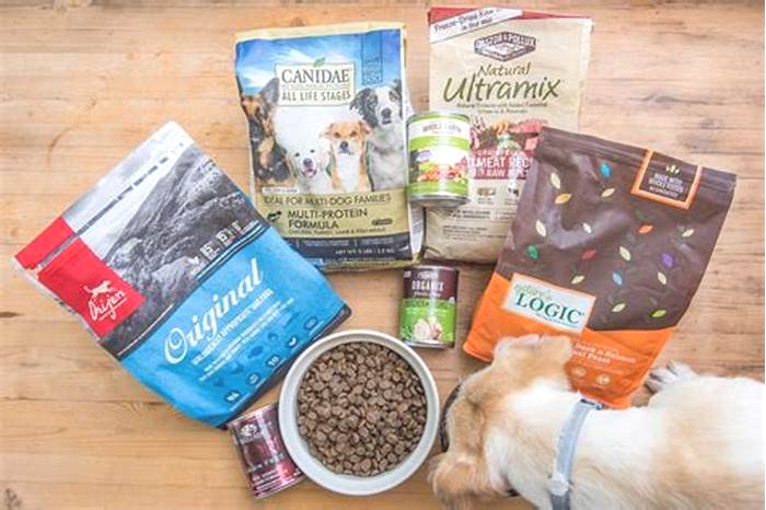 best dog food for outside dogs