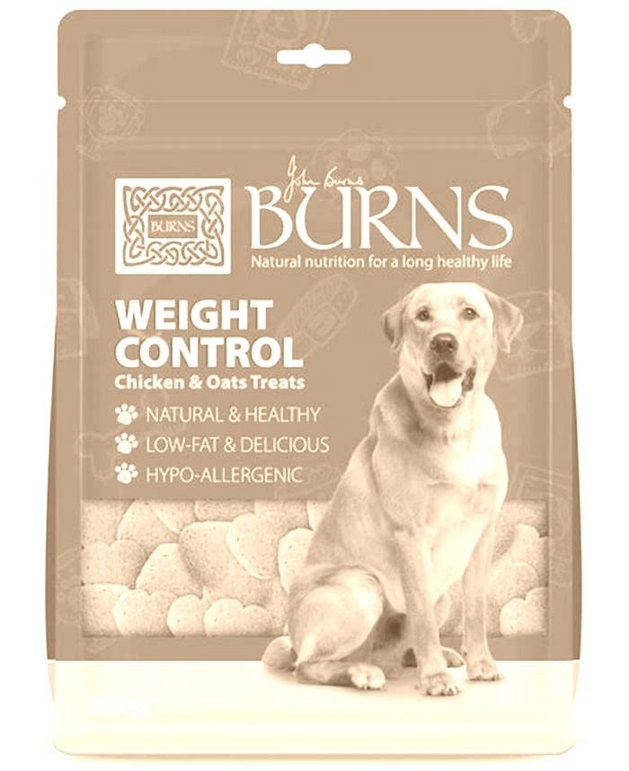 best dog food for overweight dogs uk