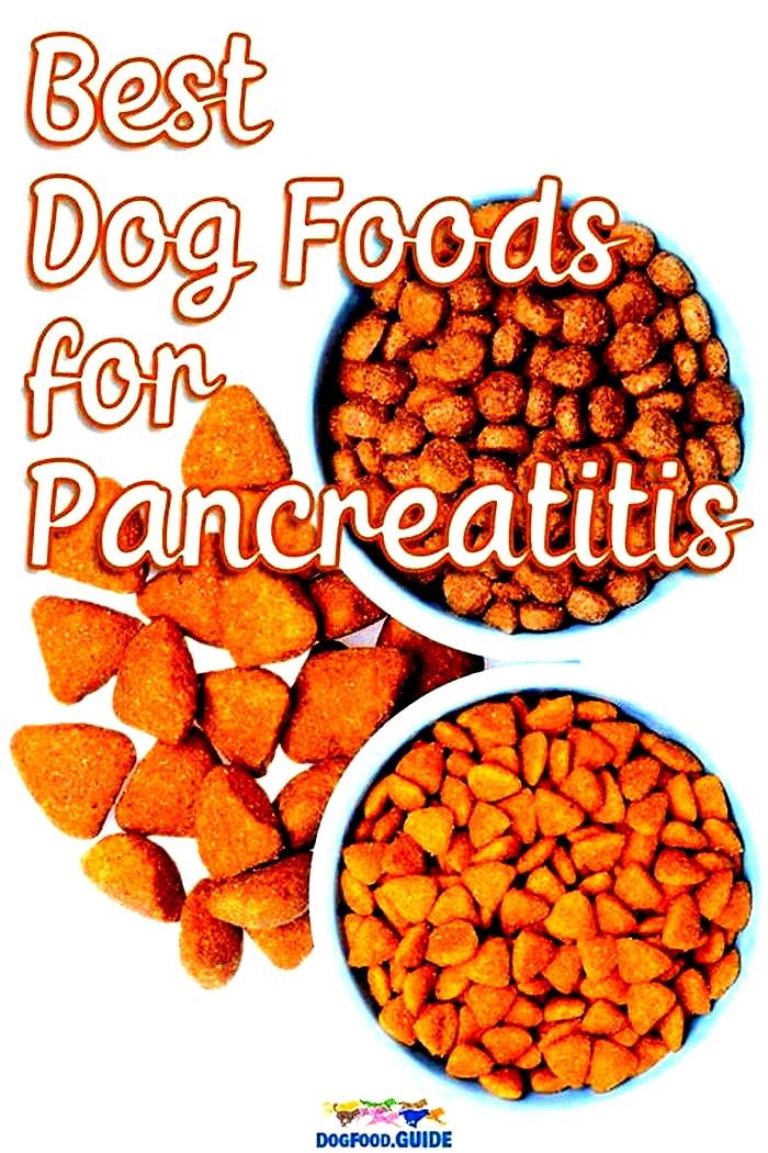 best dog food for pancreatitis in dogs