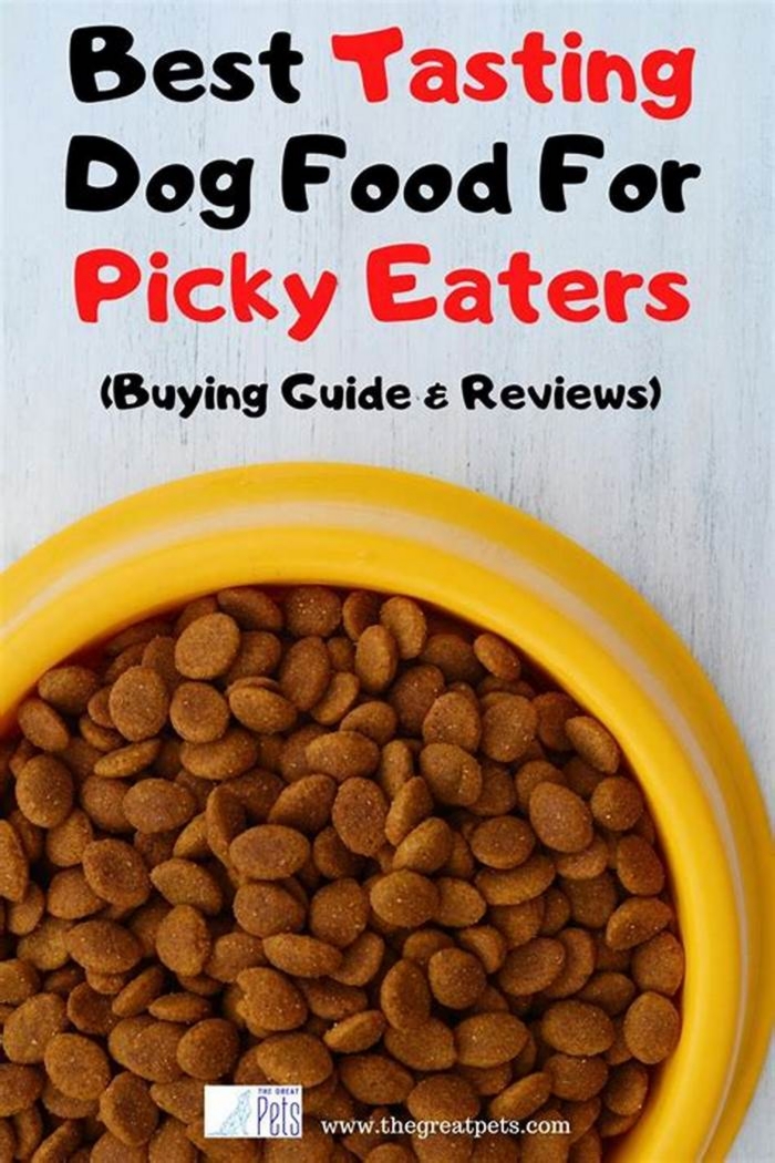 best dog food for picky puppies