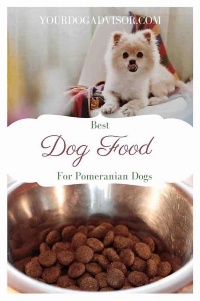 best dog food for pomeranian puppy philippines