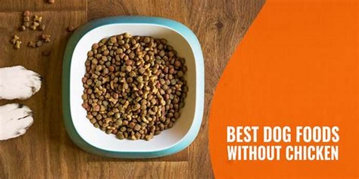 best dog food for puppies no chicken