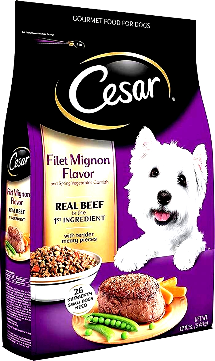 best dog food for puppies small breed reddit