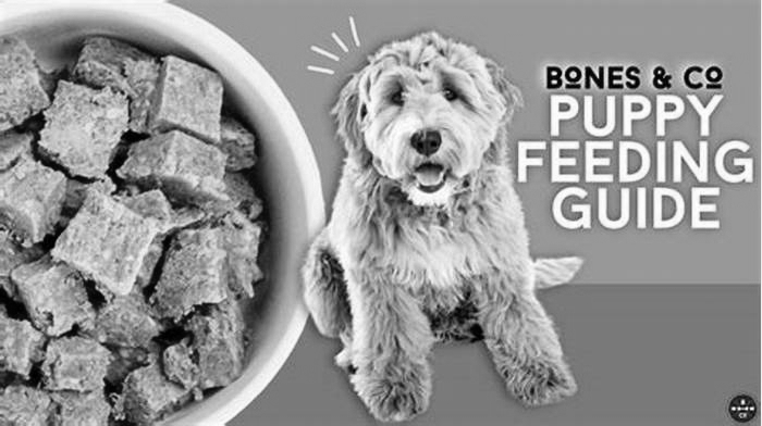 best dog food for puppies uk