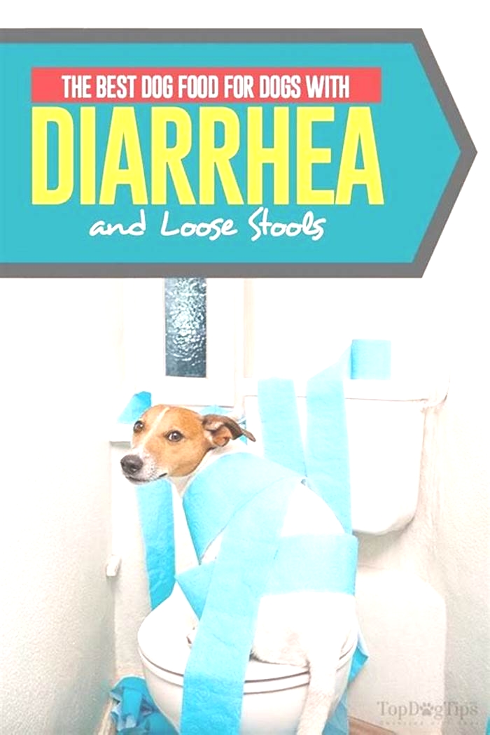 best dog food for puppies with diarrhea