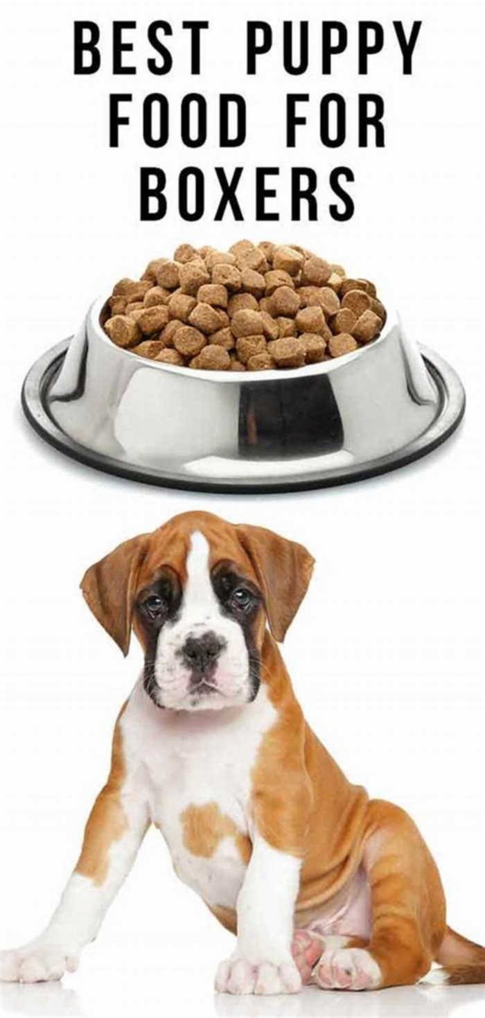 best dog food for puppy boxer