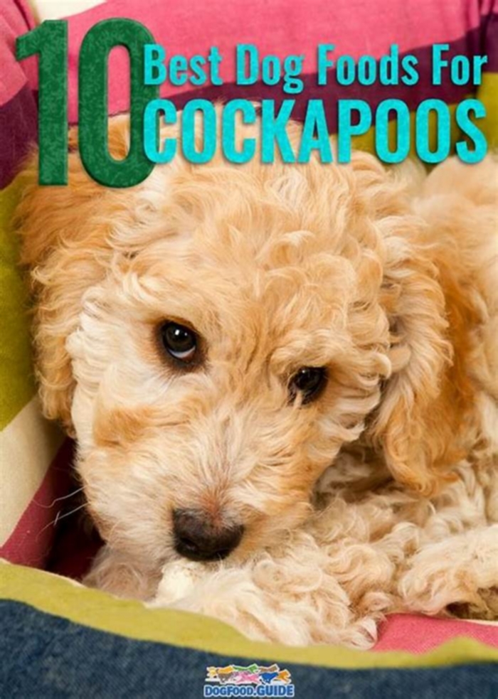 best dog food for puppy cockapoo