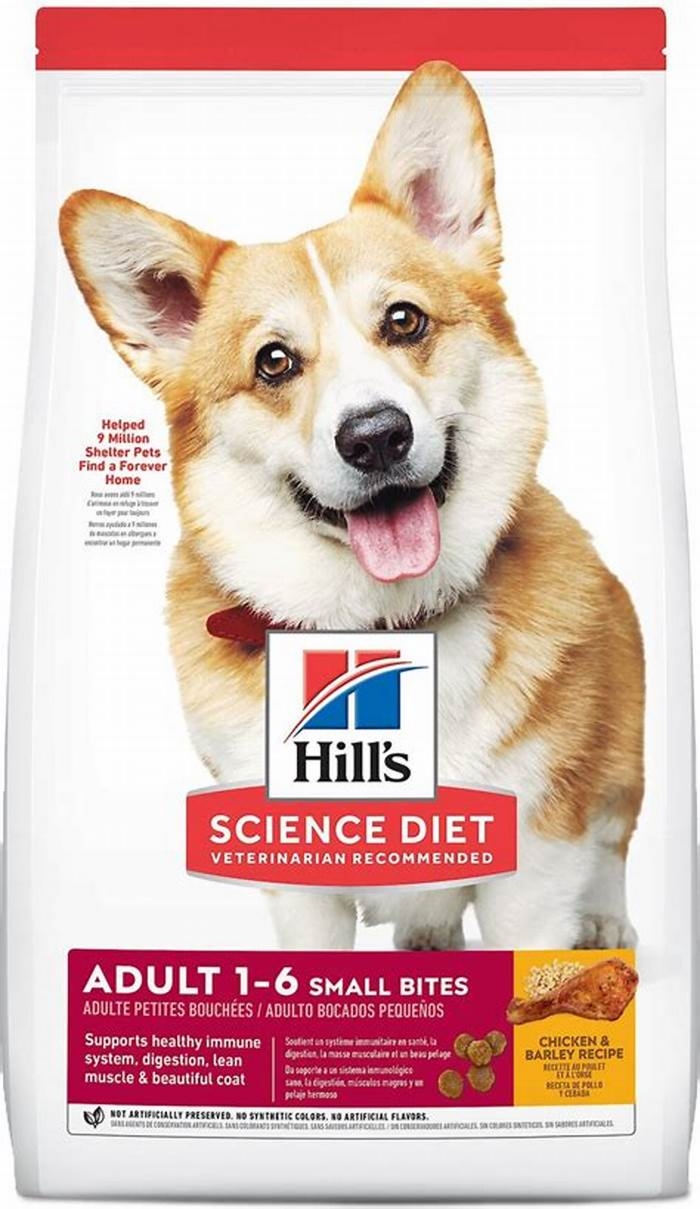 best dog food for puppy corgi