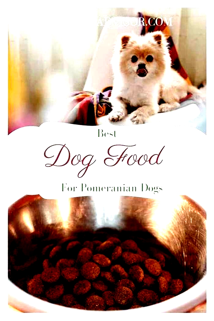 best dog food for puppy pomeranian